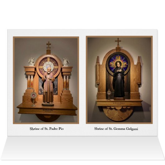 Our Lady of Mount Carmel Padre Pio Gemma Galgani (Inside Horizontal (Top))