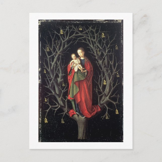Our Lady of the Dry Tree c.1450 (oil on panel) Postcard (Front)