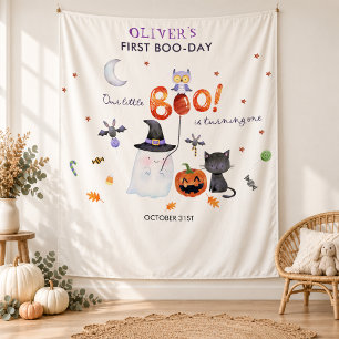 Our Little Boo 1st Birthday Party Photo Backdrop