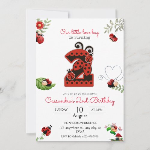 Our Little Lady Lady Bug 2nd Birthday Party Invitation