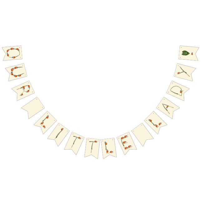 Our little Ladybug is turning one - first birthday Bunting Flags (All)