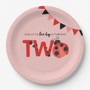 Our Little Love Bug is Turning Two Ladybug Paper Plates