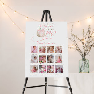 Our Little Pumpkin 12 Month Photo Milestone Sign
