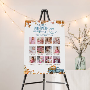 Our Little Pumpkin 12 Month Photo Milestone Sign