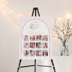 Our Little Pumpkin 12 Month Photo Milestone Sign