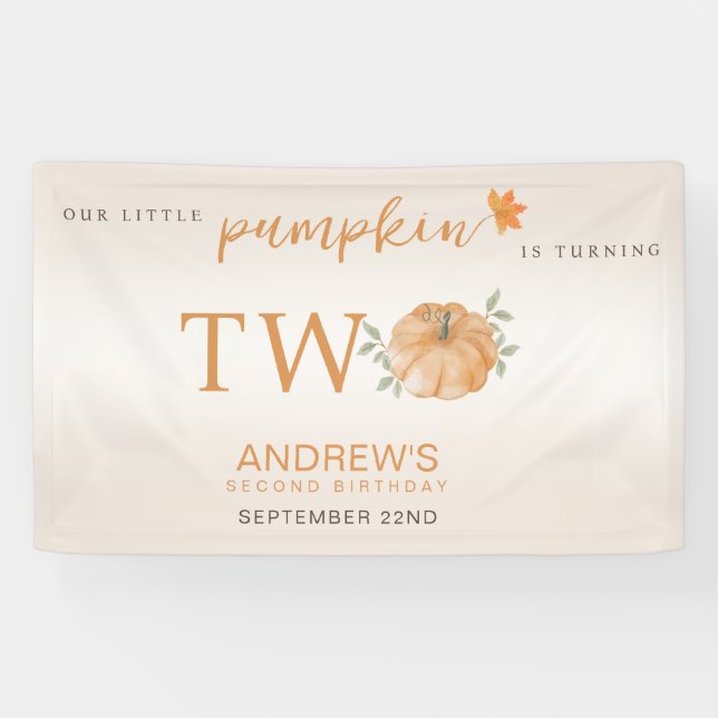 Our Little Pumpkin Autumn Fall Second 2nd Birthday Banner (Horizontal)