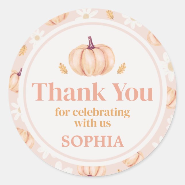 Our Little Pumpkin Birthday Party Classic Round Sticker (Front)