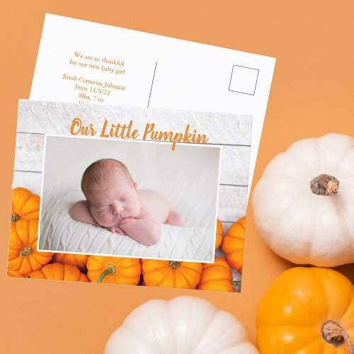 Our Little Pumpkin Thanksgiving Newborn Photo Postcard