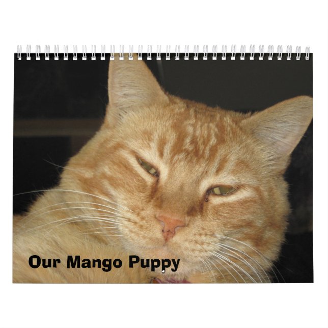 Our Mango Puppy Calendar (Cover)