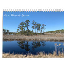 Our Natural Spaces: dreamflower 2026 calendar