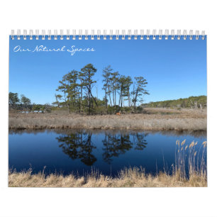 Our Natural Spaces: dreamflower 2026 calendar