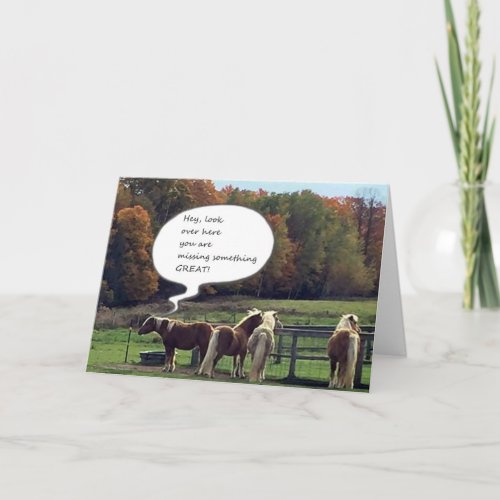 OUR NEIGHBORS HORSES WISH YOU HAPPY BIRTHDAY CARD