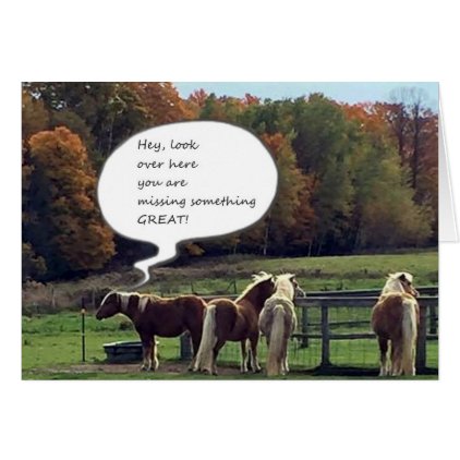 OUR NEIGHBOR&#39;S HORSES WISH YOU **HAPPY BIRTHDAY** CARD