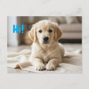 Our New Puppy Photo Announcement Postcard