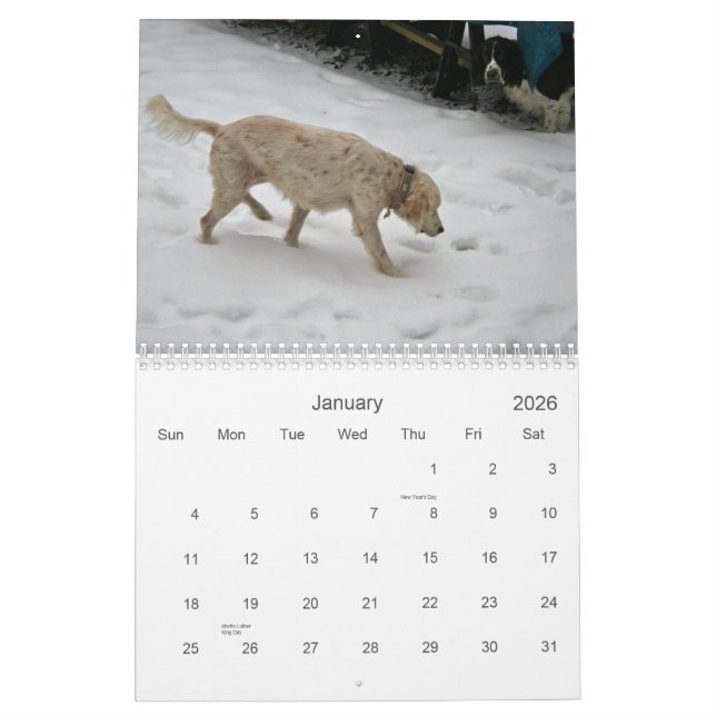 Our Pack Calendar 2012 (Jan 2026)