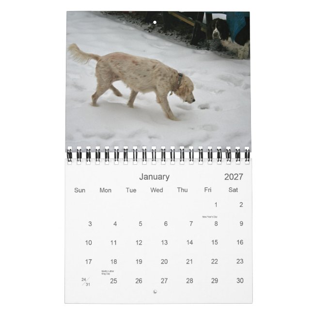 Our Pack Calendar 2012, Small (Jan 2027)
