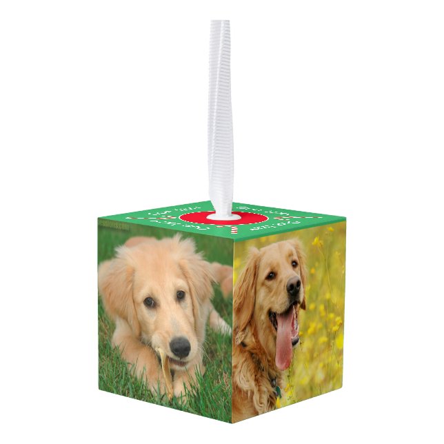 Our Pets 5 Photo Cube Ornament (Back Angled)