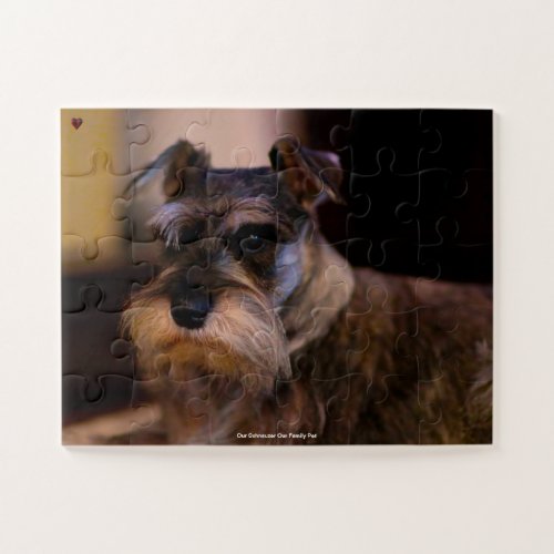 Our Schnauzer Our Family Pet Jigsaw Puzzle