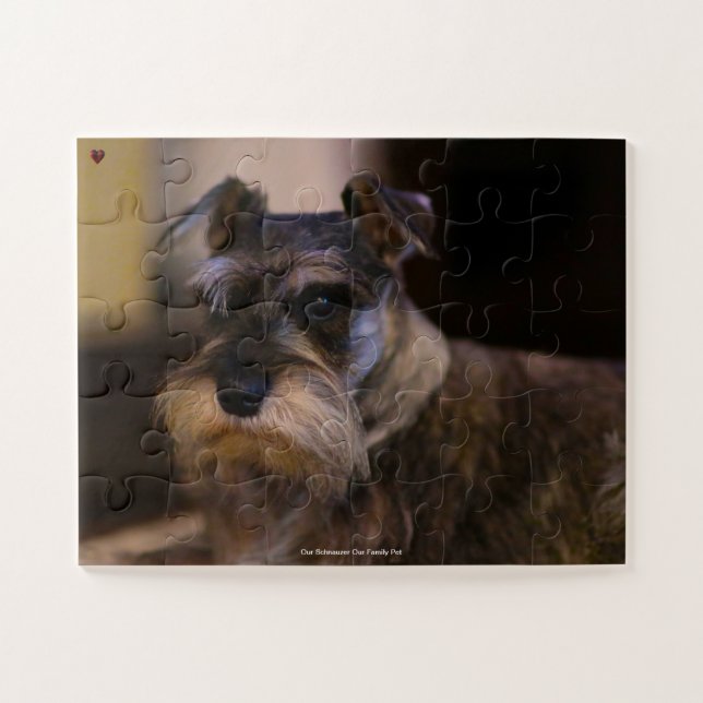 Our Schnauzer Our Family Pet Jigsaw Puzzle (Horizontal)