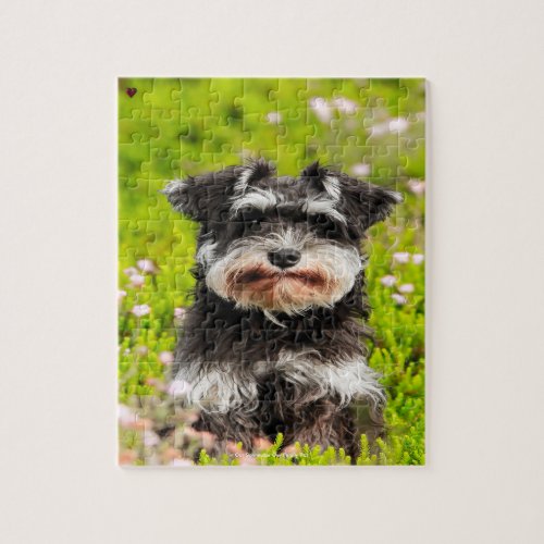 Our Schnauzer Our Family Pet Jigsaw Puzzle