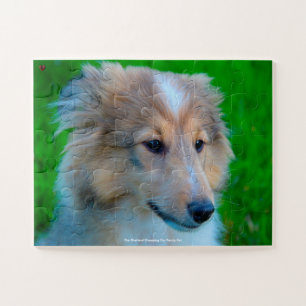 Our Shetland Sheepdog Our Family Pet Jigsaw Puzzle
