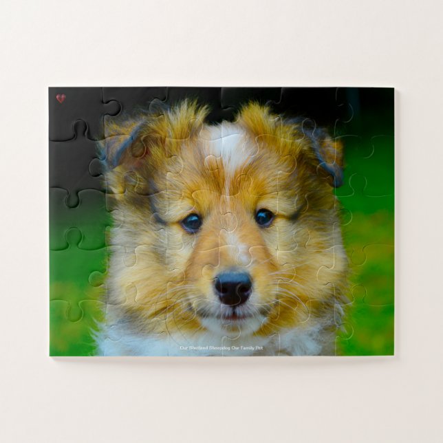 Our Shetland Sheepdog Our Family Pet Jigsaw Puzzle (Horizontal)