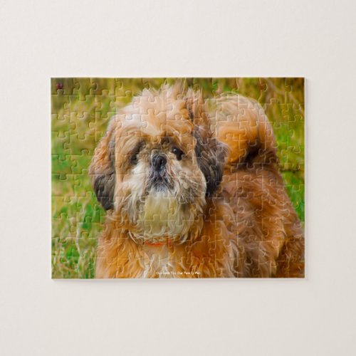 Our Shih Tzu Our Family Pet Jigsaw Puzzle