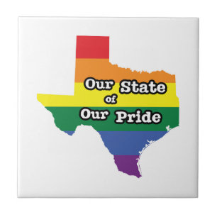 Our State of Our Pride   Texas Ceramic Tile