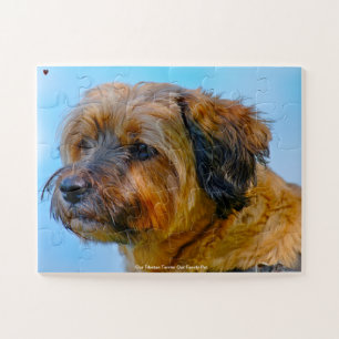 Our Tibetan Terrier Our Family Pet Jigsaw Puzzle