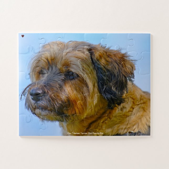 Our Tibetan Terrier Our Family Pet Jigsaw Puzzle (Horizontal)