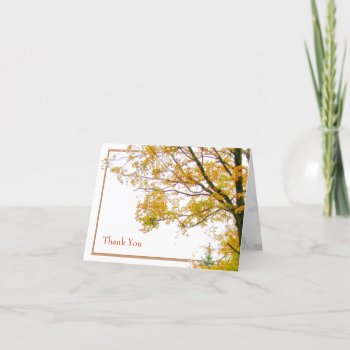Our Tree Fall Template Thank You Card by fallcolors at Zazzle