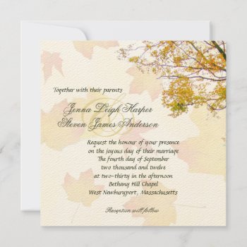 Our Tree  Fall Wedding Square Invitation by fallcolors at Zazzle