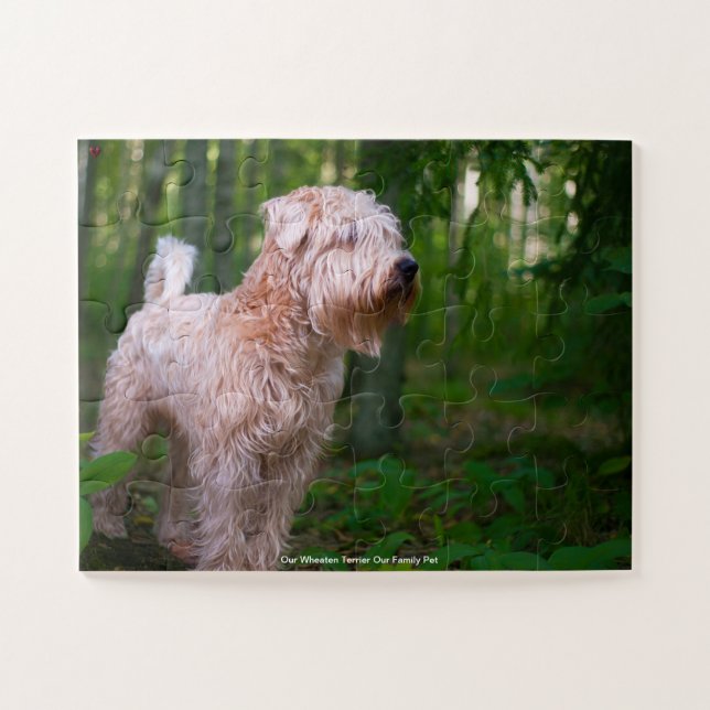 Our Wheaten Terrier Our Family Pet Jigsaw Puzzle (Horizontal)