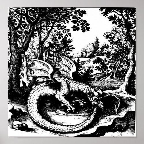Ouroboros Dragon Poster