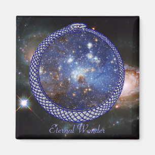 Ouroboros Galaxy - Magnet #1