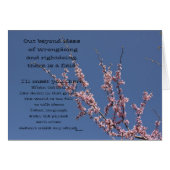 Out Beyond Ideas (Front Horizontal)