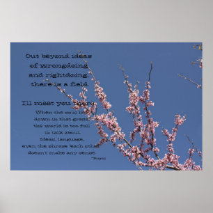 Out Beyond Ideas Poster