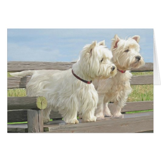 Out Exporing (Front Horizontal)