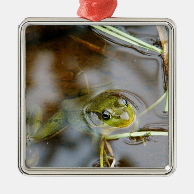 Out for some fresh air metal ornament (Front)