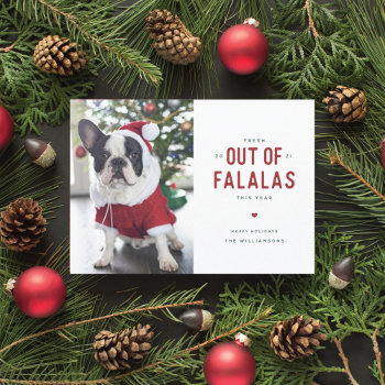 Out Of Falalas Funny Dog Christmas Card by BanterandCharm at Zazzle