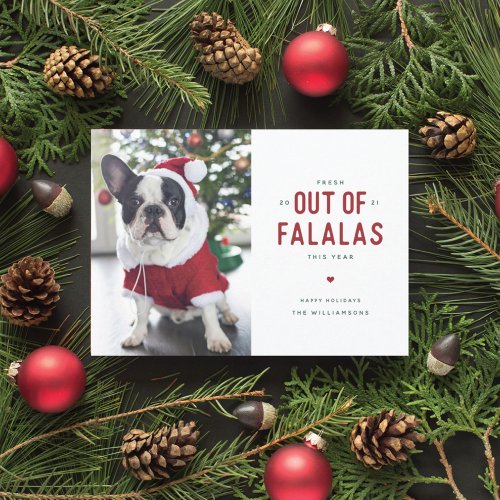 Out of Falalas Funny Dog Christmas Card