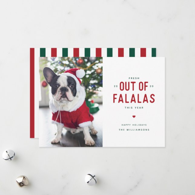 Out of Falalas Funny Dog Christmas Card (Front/Back In Situ)