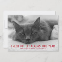 Out of Falalas Sarcastic Funny Holiday Cards