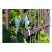 out of row (Front Horizontal)