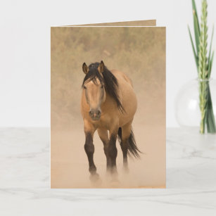 Out of the Dust Wild Horse Greeting Card