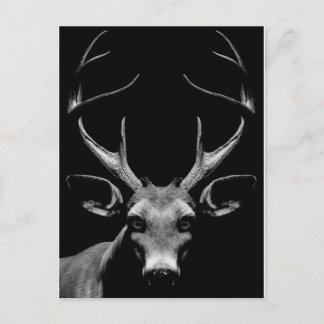 Out of the Shadows Post Card