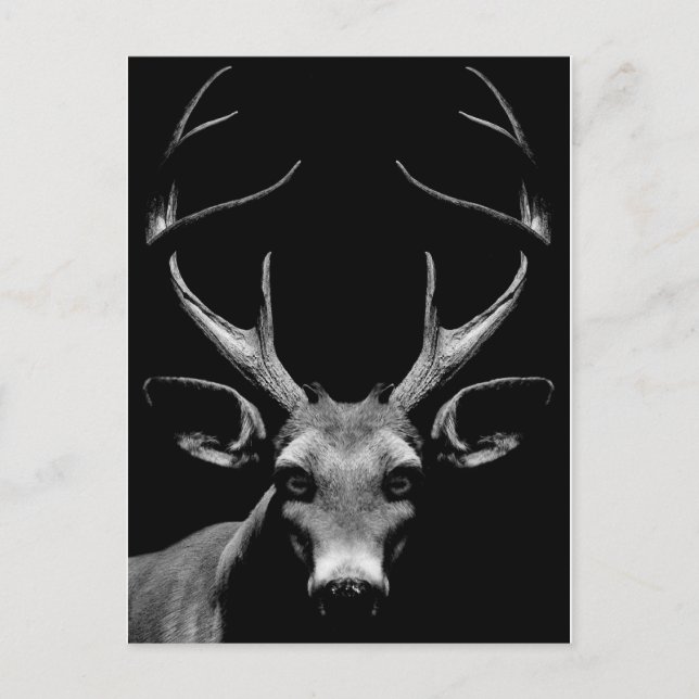 Out of the Shadows Post Card (Front)