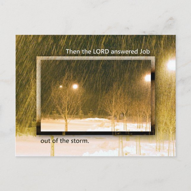 Out of the Storm Postcard (Front)