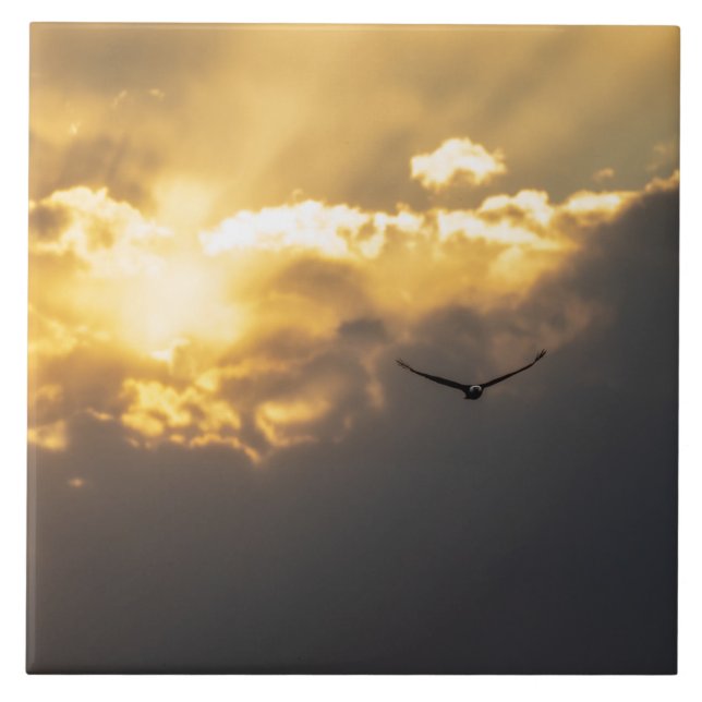 Out Of The Sun Bald Eagle Ceramic Tile (Front)