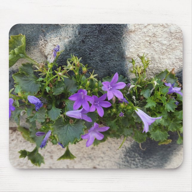 out of the wall flower mouse pad (Front)